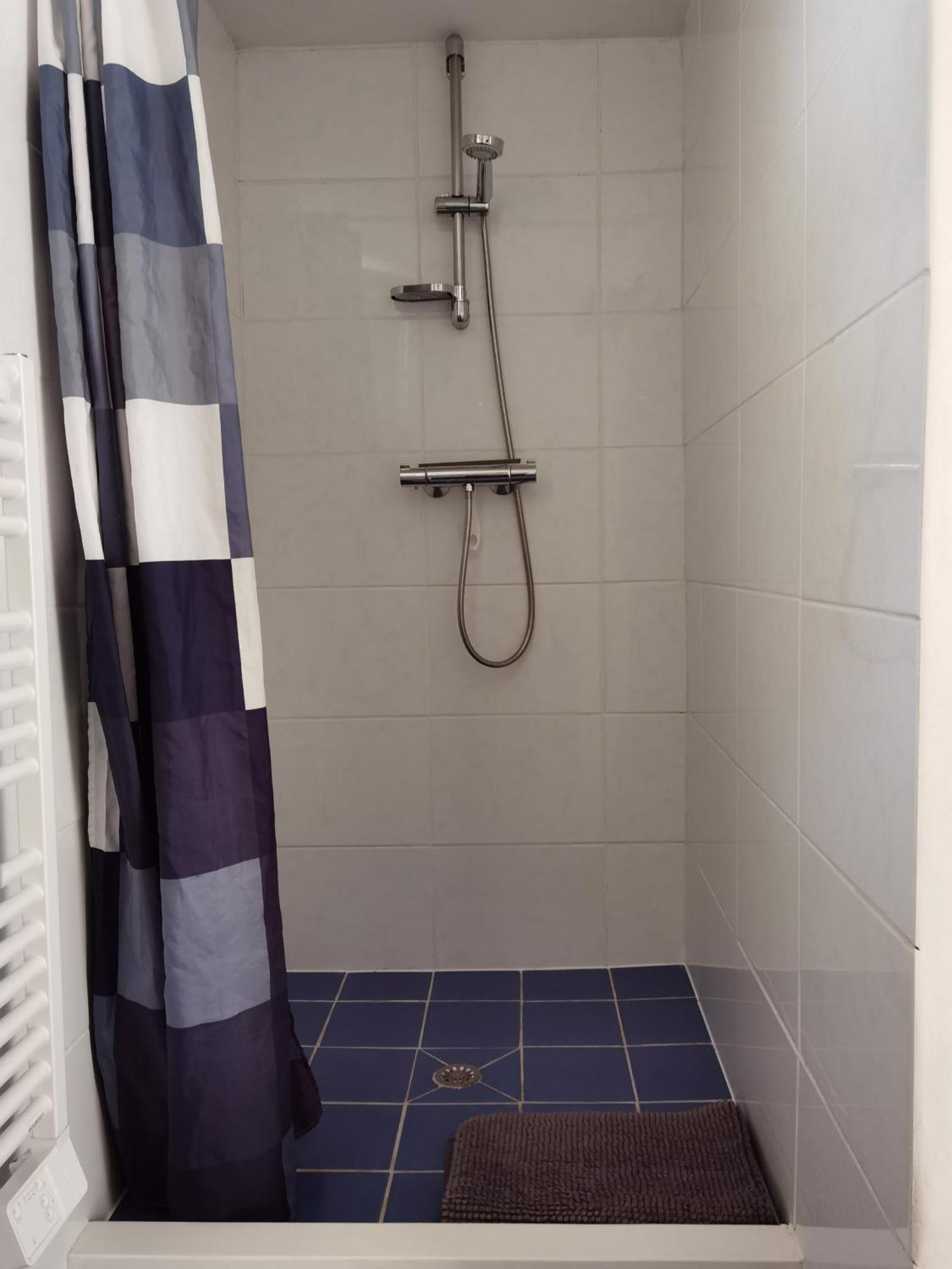 Les Camelias Apartment Le Mont-Dore Ngoại thất bức ảnh