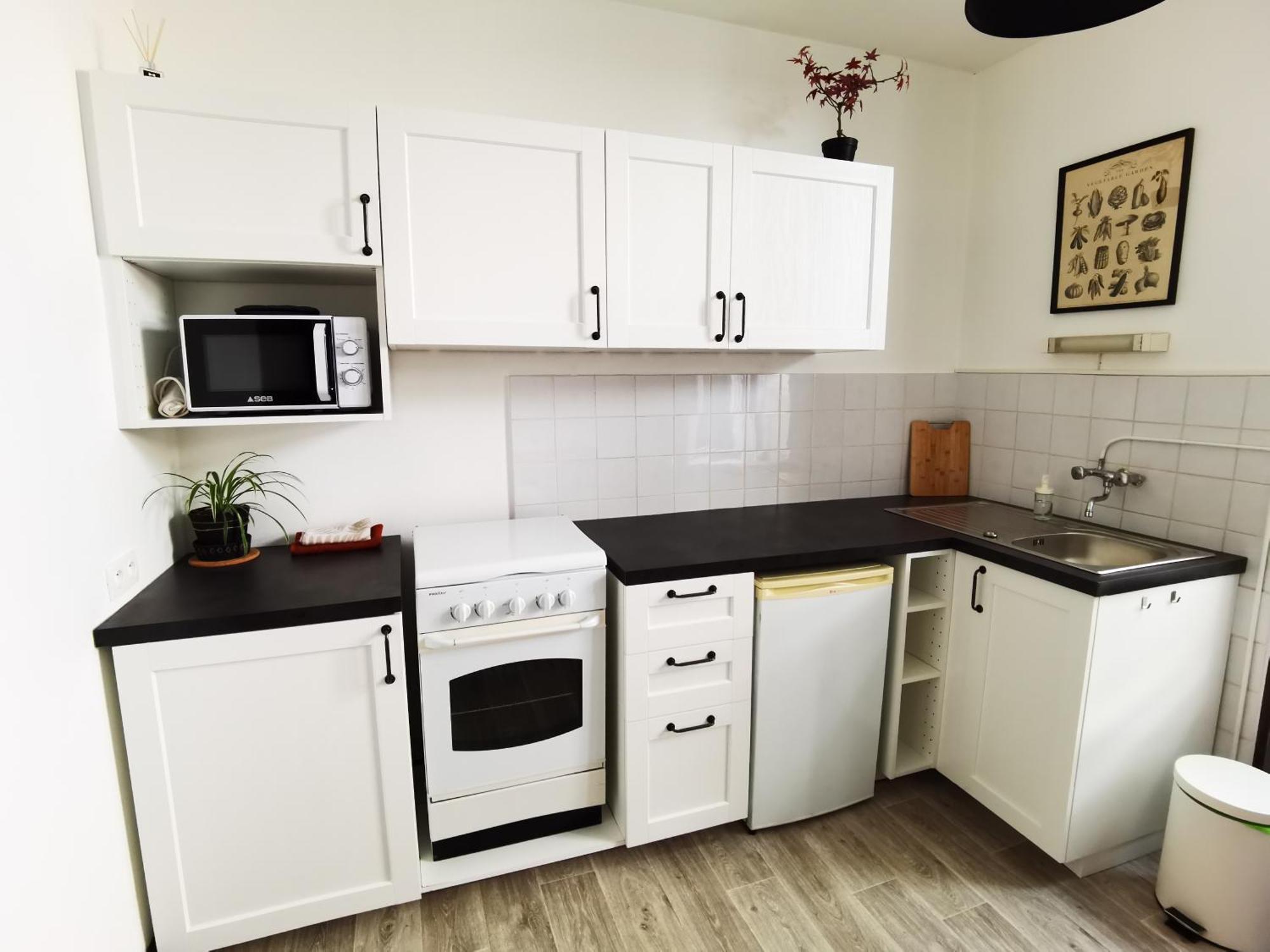 Les Camelias Apartment Le Mont-Dore Ngoại thất bức ảnh