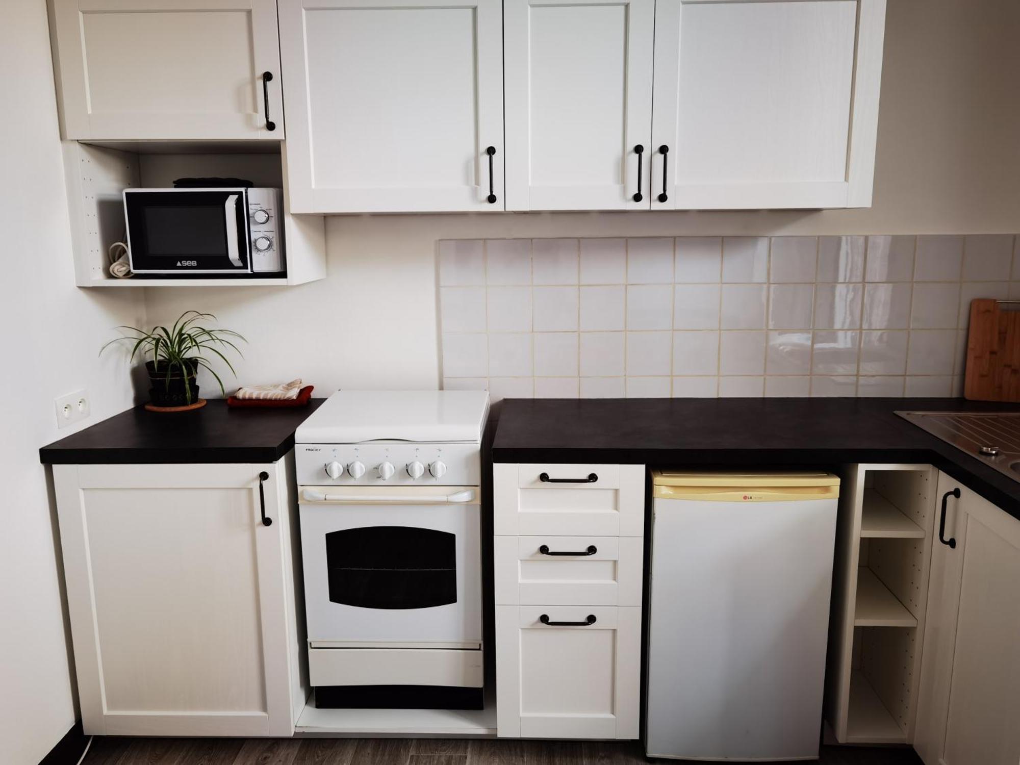 Les Camelias Apartment Le Mont-Dore Ngoại thất bức ảnh